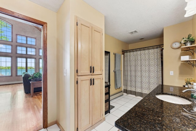 1823 313th Ave NE, Isanti Twp, MN 55008 - bathroom featuring a baseboard radiator, healthy amount of natural light, vanity, baseboards, and a textured ceiling