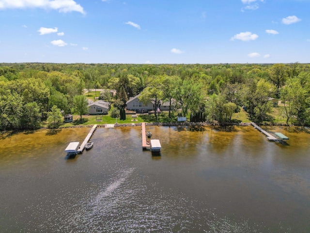 1823 313th Ave NE, Isanti Twp, MN 55008 - view of subject property with a heavily wooded area and a nearby body of water