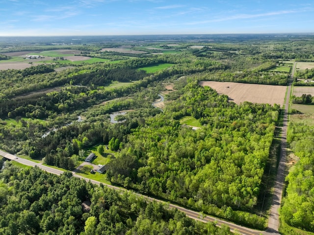 bird's eye view of a forest