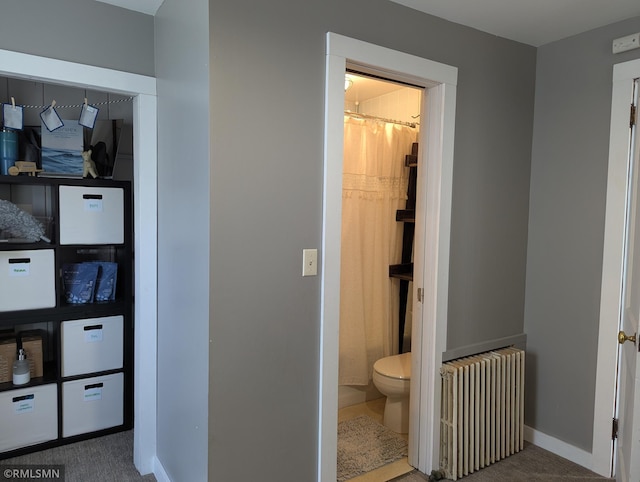 532 Main St S, Sauk Centre, MN 56378 - bathroom with radiator heating unit, baseboards, and toilet