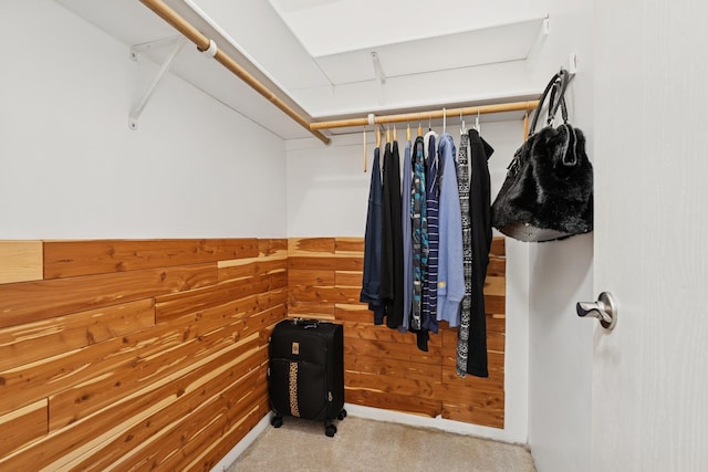 2250 Ridge Dr Unit 11, Saint Louis Park, MN 55416 - walk in closet featuring carpet flooring