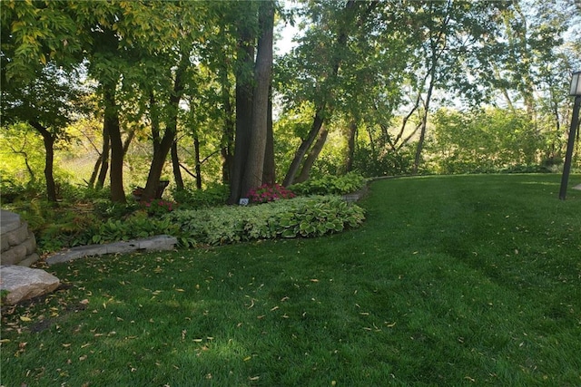 2250 Ridge Dr Unit 11, Saint Louis Park, MN 55416 - view of green lawn