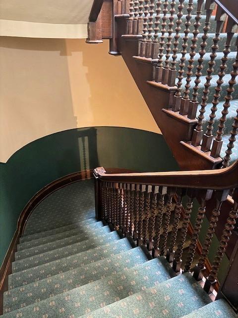 stairs featuring carpet flooring
