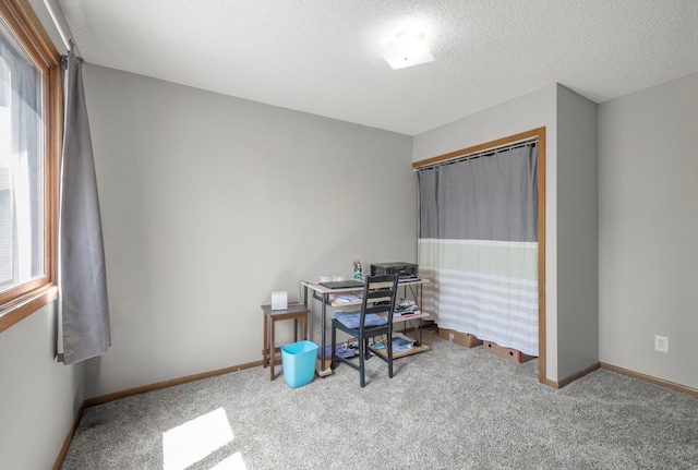 office with carpet floors, a textured ceiling, plenty of natural light, and baseboards