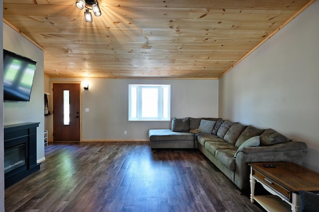 28257 French Rd, Danbury, WI 54830 - living area featuring wood ceiling, dark wood finished floors, a glass covered fireplace, baseboards, and vaulted ceiling