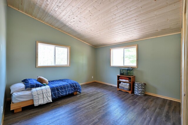 28257 French Rd, Danbury, WI 54830 - photo 30