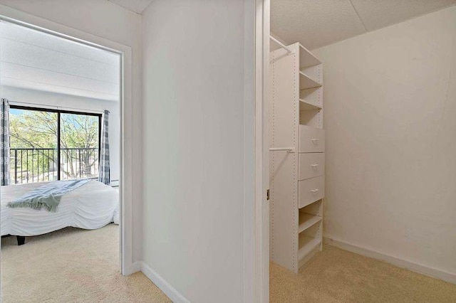 walk in closet featuring light carpet