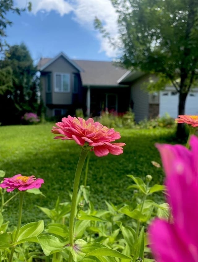 23141 Hilo Ave N, Forest Lake, MN 55025 - view of green lawn