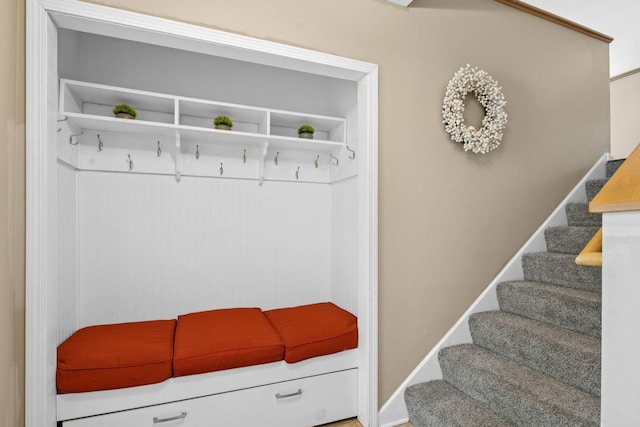 23141 Hilo Ave N, Forest Lake, MN 55025 - view of mudroom