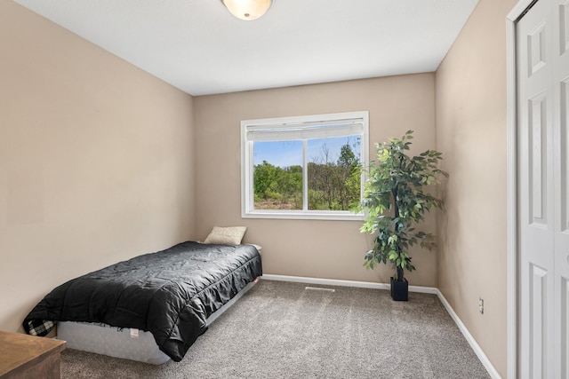 23141 Hilo Ave N, Forest Lake, MN 55025 - bedroom featuring baseboards and carpet flooring