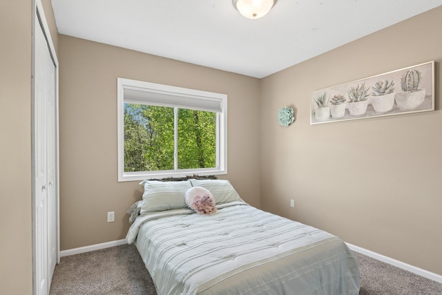 23141 Hilo Ave N, Forest Lake, MN 55025 - bedroom with carpet, baseboards, and a closet