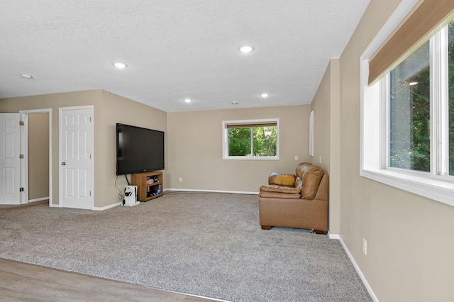 23141 Hilo Ave N, Forest Lake, MN 55025 - living area featuring carpet floors, baseboards, recessed lighting, and a textured ceiling