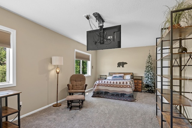 23141 Hilo Ave N, Forest Lake, MN 55025 - bedroom featuring carpet floors and baseboards