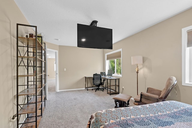 23141 Hilo Ave N, Forest Lake, MN 55025 - carpeted bedroom with an office area