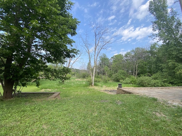 23141 Hilo Ave N, Forest Lake, MN 55025 - view of yard