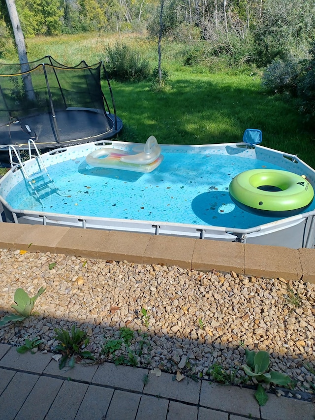 23141 Hilo Ave N, Forest Lake, MN 55025 - view of pool with a trampoline and a yard