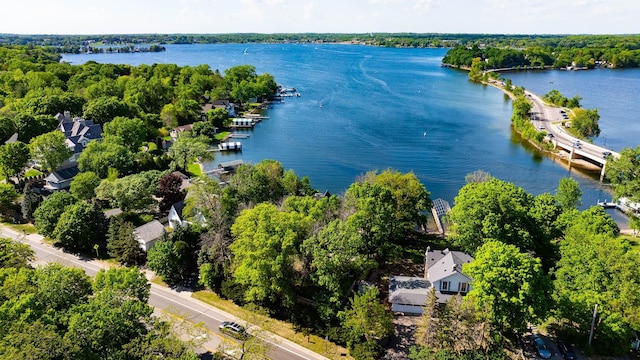 17322 County Road 101 W, Minnetonka, MN 55391 - photo 49
