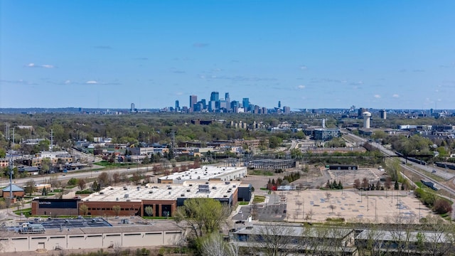 aerial view of a skyline view
