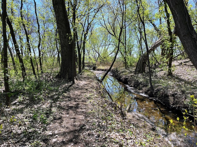 109 Eagle Lake Dr, Maple Grove, MN 55369 - view of nature