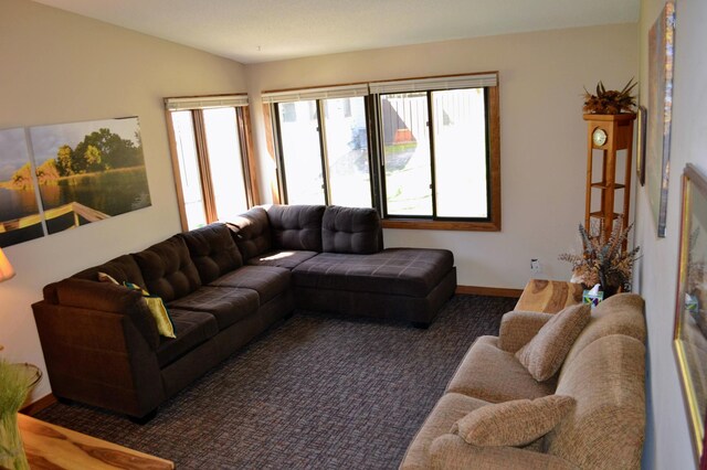 109 Eagle Lake Dr, Maple Grove, MN 55369 - carpeted living area featuring baseboards and lofted ceiling