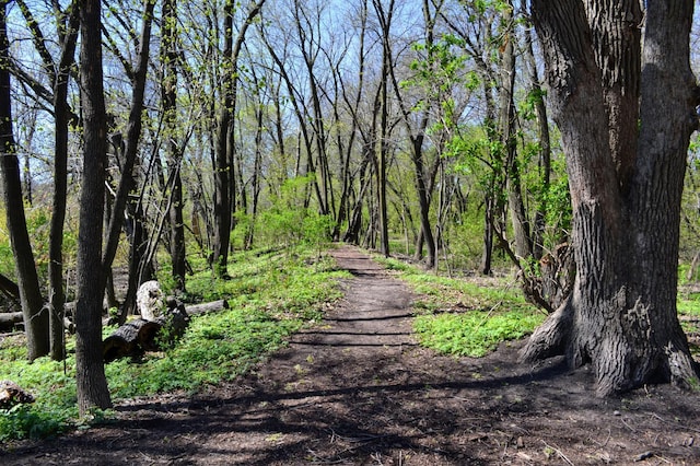 109 Eagle Lake Dr, Maple Grove, MN 55369 - view of road featuring a wooded view
