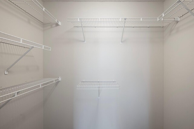 8497 Cortland Rd, Eden Prairie, MN 55344 - view of walk in closet