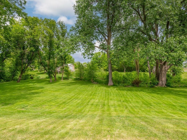 71156 Csah 18, Collinwood Twp, MN 55325 - view of green lawn