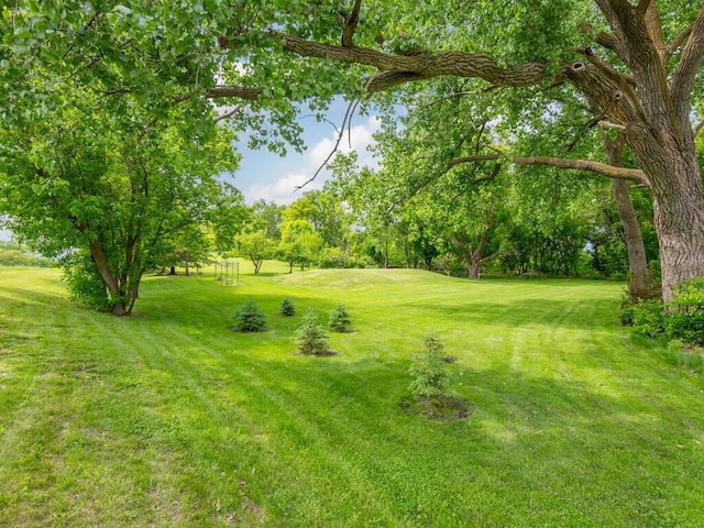 71156 Csah 18, Collinwood Twp, MN 55325 - view of grassy yard featuring golf course view and view of wooded area