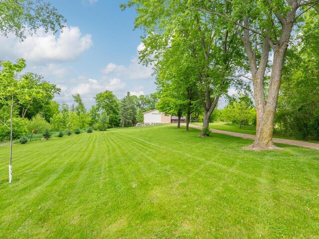 71156 Csah 18, Collinwood Twp, MN 55325 - view of grassy yard