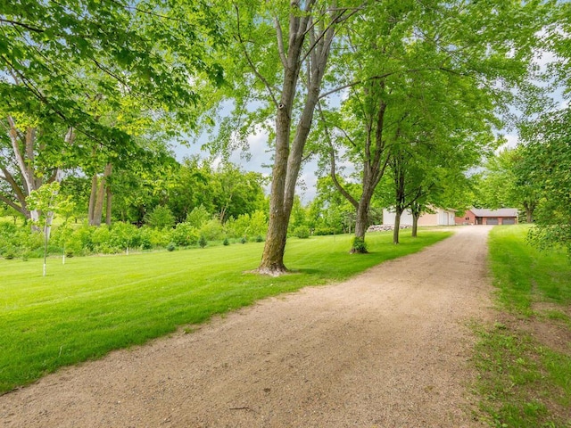 71156 Csah 18, Collinwood Twp, MN 55325 - view of dirt / gravel road