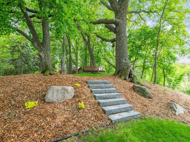 71156 Csah 18, Collinwood Twp, MN 55325 - view of yard