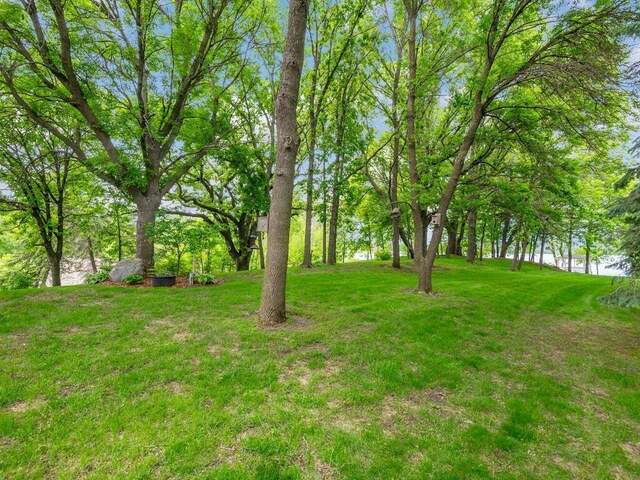 71156 Csah 18, Collinwood Twp, MN 55325 - view of grassy yard