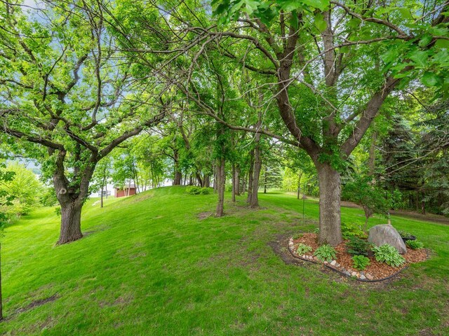 71156 Csah 18, Collinwood Twp, MN 55325 - view of green lawn