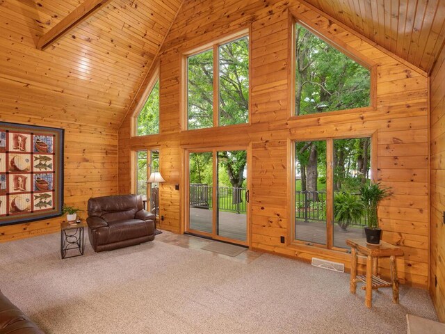 71156 Csah 18, Collinwood Twp, MN 55325 - carpeted living area with wood walls, high vaulted ceiling, and wood ceiling
