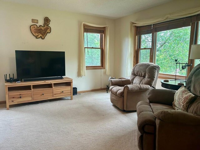 27306 289th Ave, Underwood, MN 56586 - photo 12