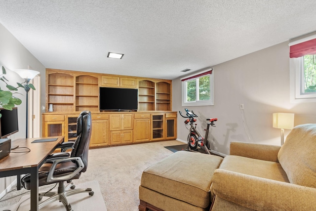 1862 Carnelian Ln, Eagan, MN 55122 - photo 30