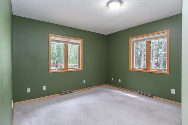 51850 Scenic Hwy Unit 7, Bigfork, MN 56628 - spare room featuring baseboards, carpet, and a textured ceiling