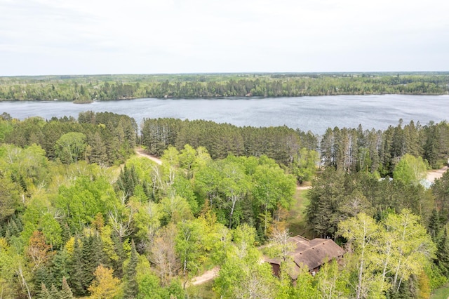 51850 Scenic Hwy Unit 7, Bigfork, MN 56628 - aerial view of a nearby body of water and a heavily wooded area