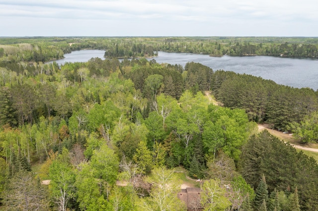 51850 Scenic Hwy Unit 7, Bigfork, MN 56628 - drone / aerial view of a large body of water and a forest