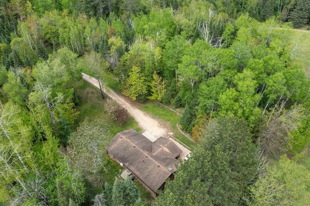 51850 Scenic Hwy Unit 7, Bigfork, MN 56628 - aerial view of property's location with a forest