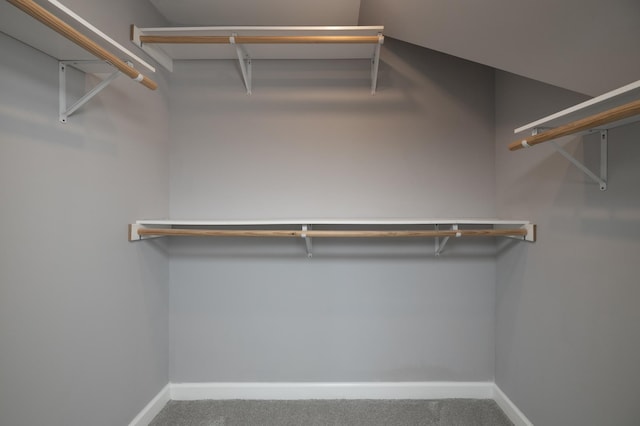 spacious closet with carpet