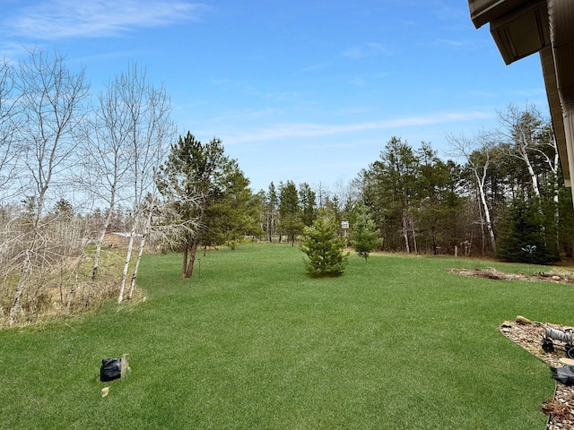 view of grassy yard