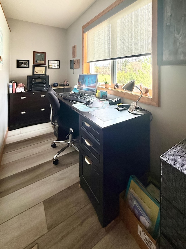 office featuring wood finished floors