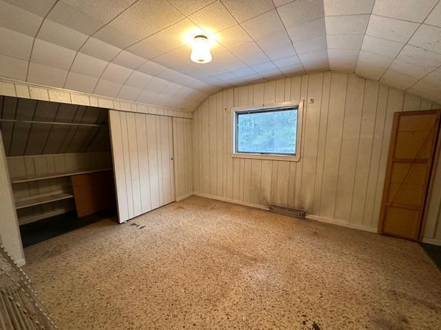 5535 Wahlsten Rd, Embarrass, MN 55732 - bonus room featuring vaulted ceiling