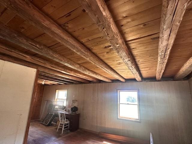 5535 Wahlsten Rd, Embarrass, MN 55732 - below grade area with wooden ceiling, plenty of natural light, and wood finished floors