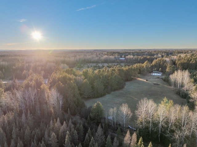 5535 Wahlsten Rd, Embarrass, MN 55732 - aerial view of property and surrounding area with a forest