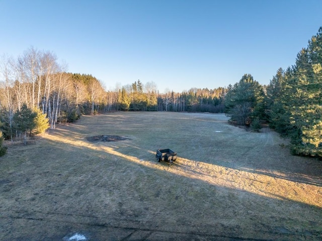 5535 Wahlsten Rd, Embarrass, MN 55732 - view of yard featuring a forest view