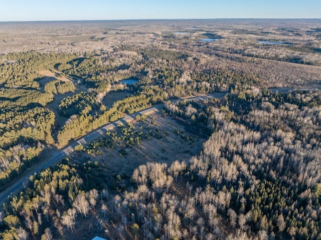 5535 Wahlsten Rd, Embarrass, MN 55732 - aerial view of property's location