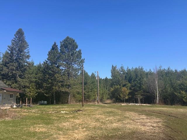 5535 Wahlsten Rd, Embarrass, MN 55732 - view of yard featuring a wooded view