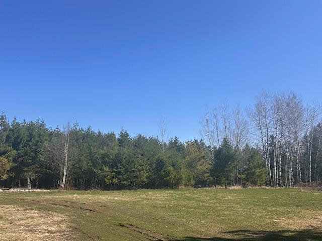 5535 Wahlsten Rd, Embarrass, MN 55732 - view of woods